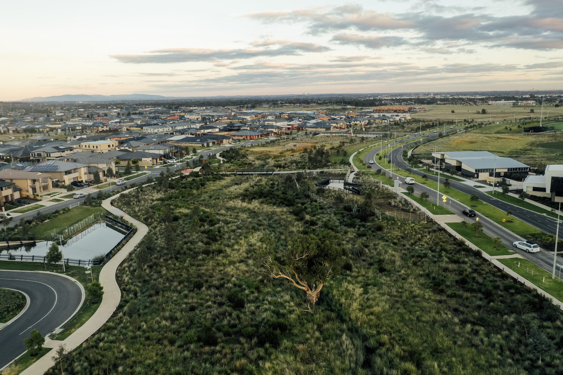 Aerial view of a restored green corridor and wetland winding through a residential development