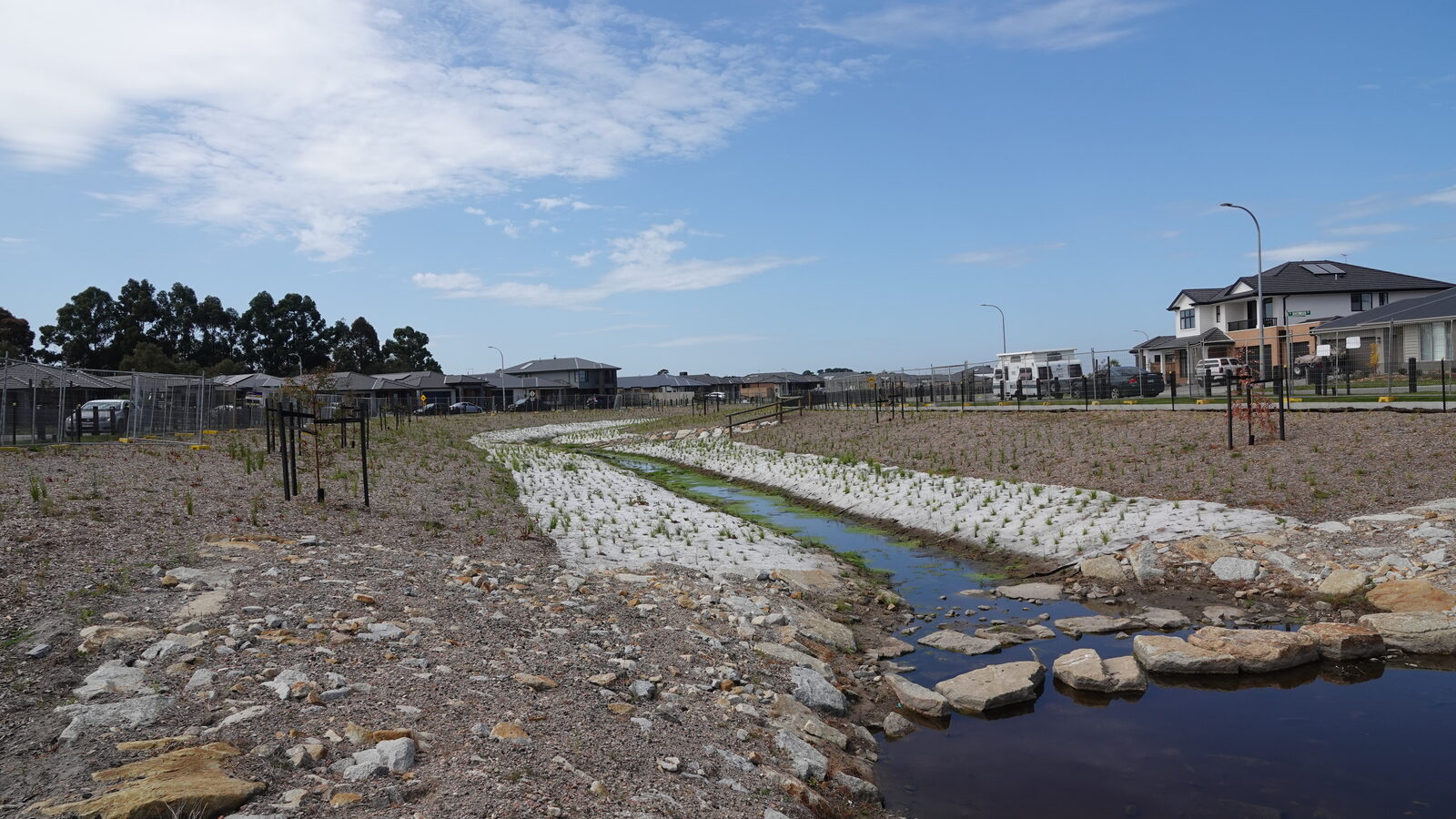 Octave: the site before planting, November 2024