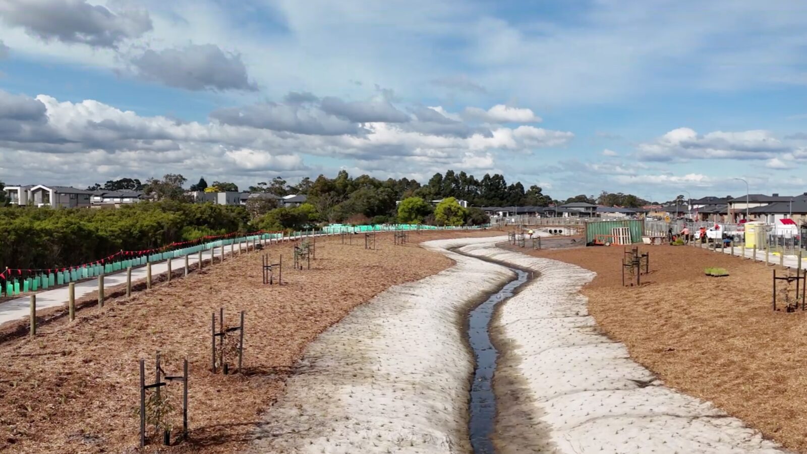 Octave: straight after planting